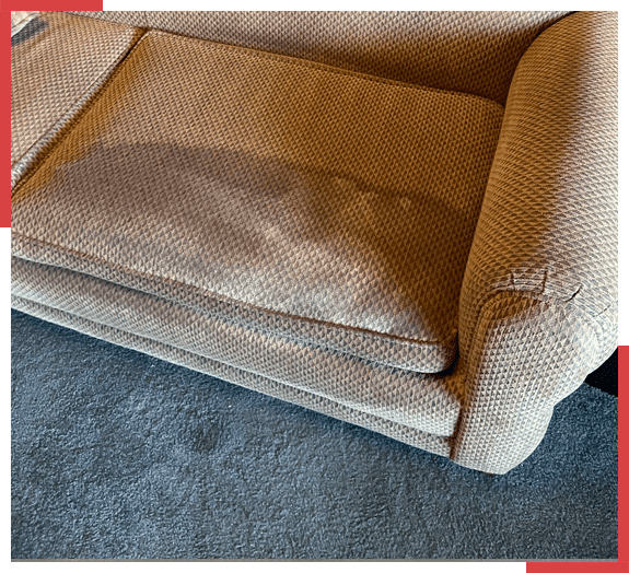 professional upholstery cleaning