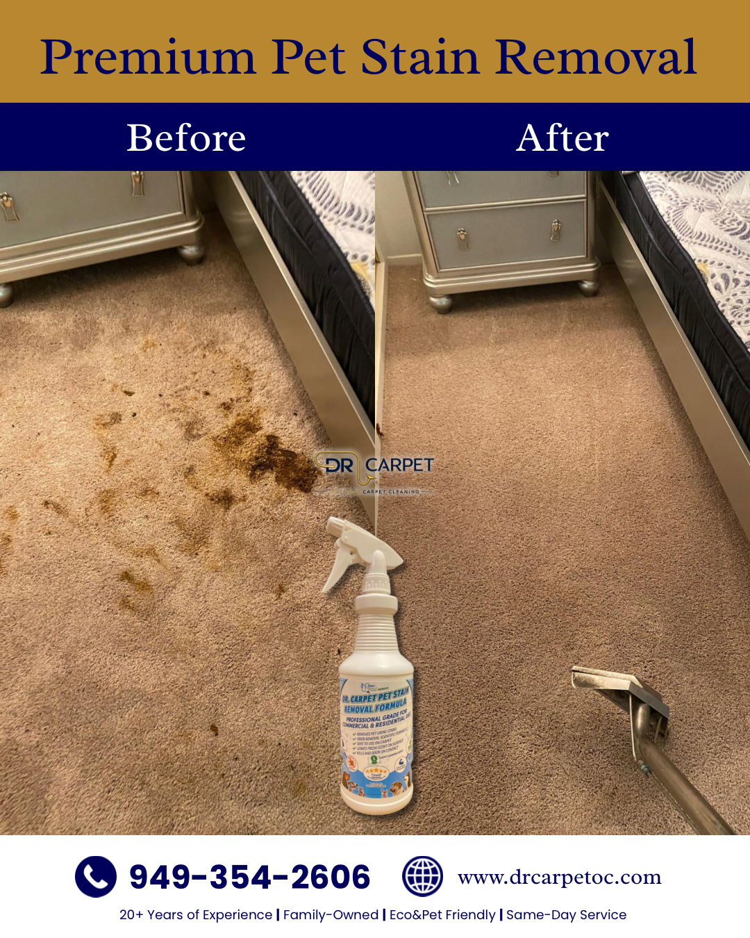 Pet Stain Removal Carpet Cleaning