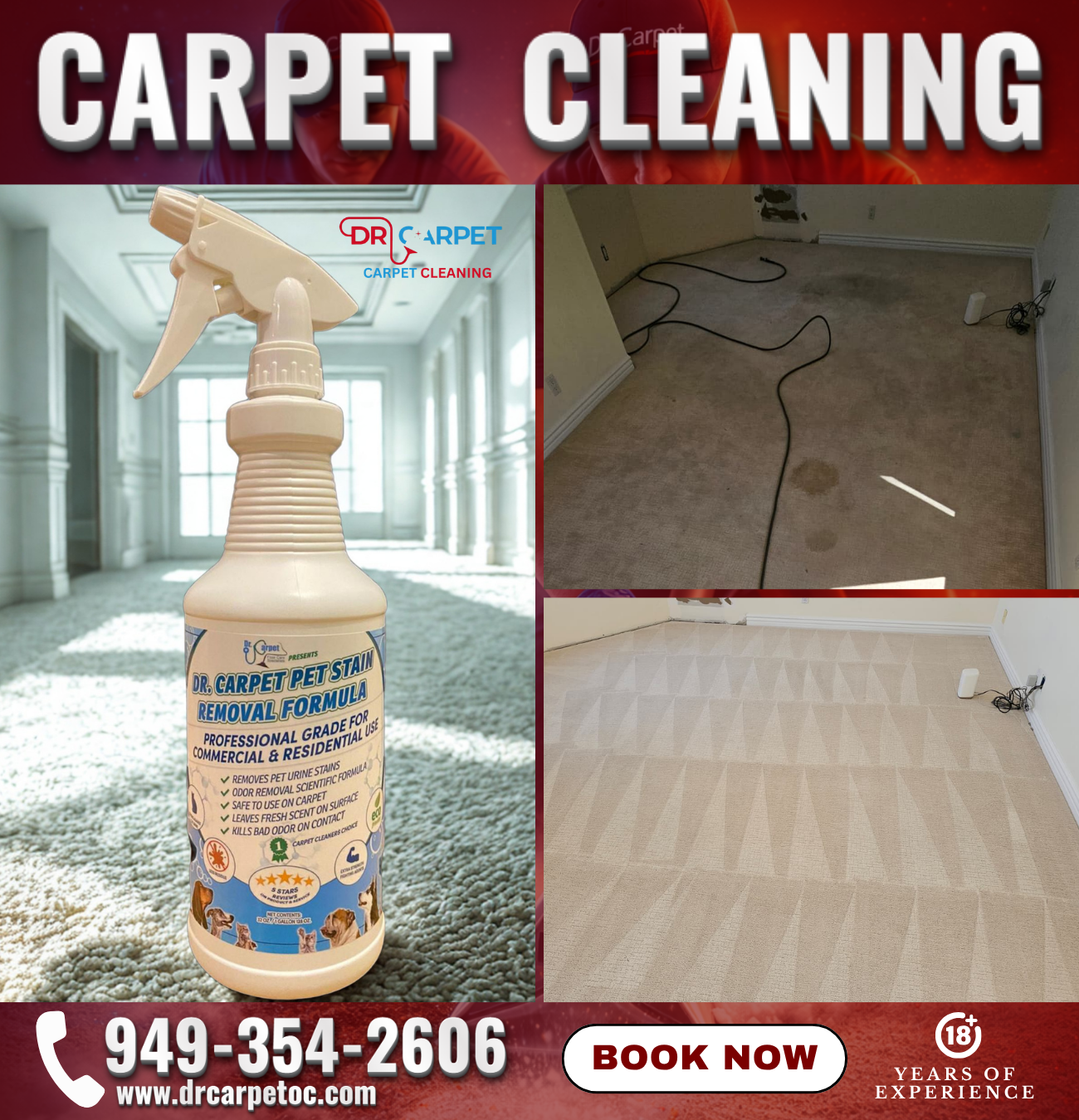 carpet cleaning pet stains