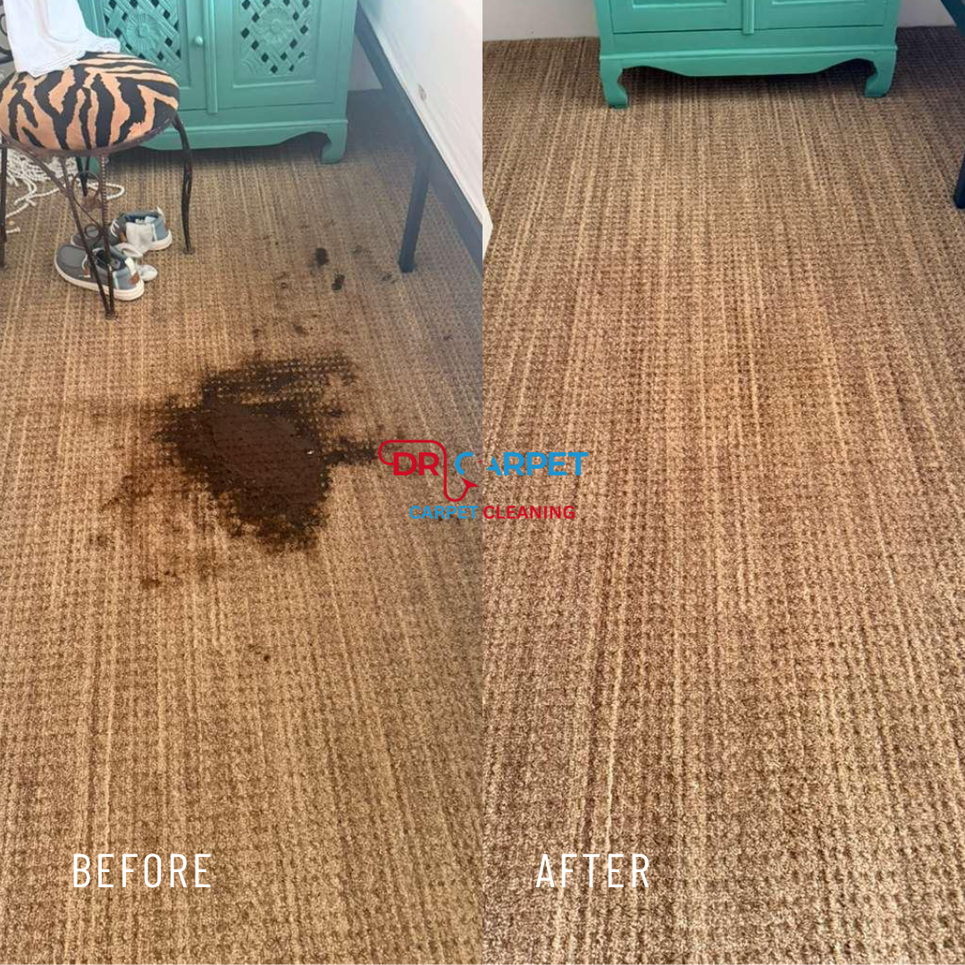 same day carpet cleaning